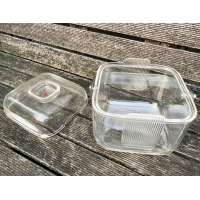 Ambrogio Pozzi Amanda ijsemmer